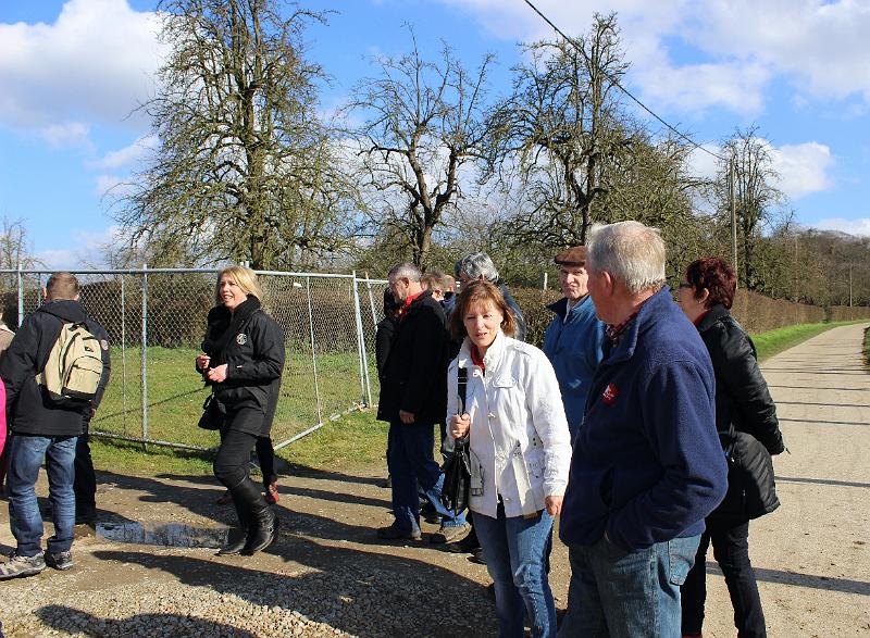 Winterwandeling op 2-3-2014 org. Armand en Judith Menten (28).JPG